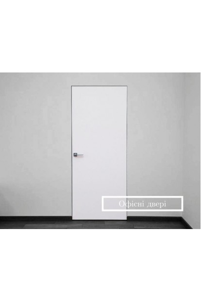 How to choose an office door and what types of interior doors are best for offices?
